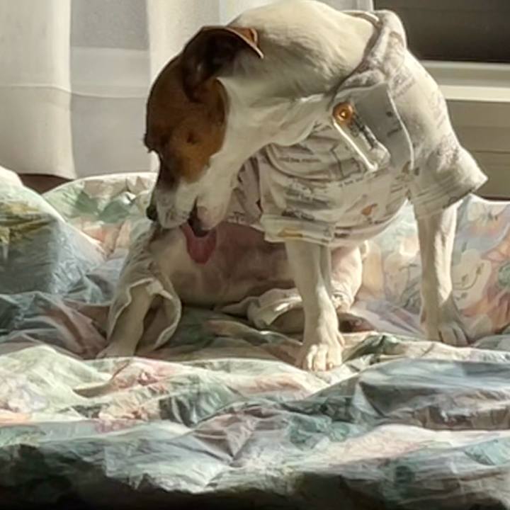 E011d312 3c10 4646 bba1 51f64e63c90e 1643856546463