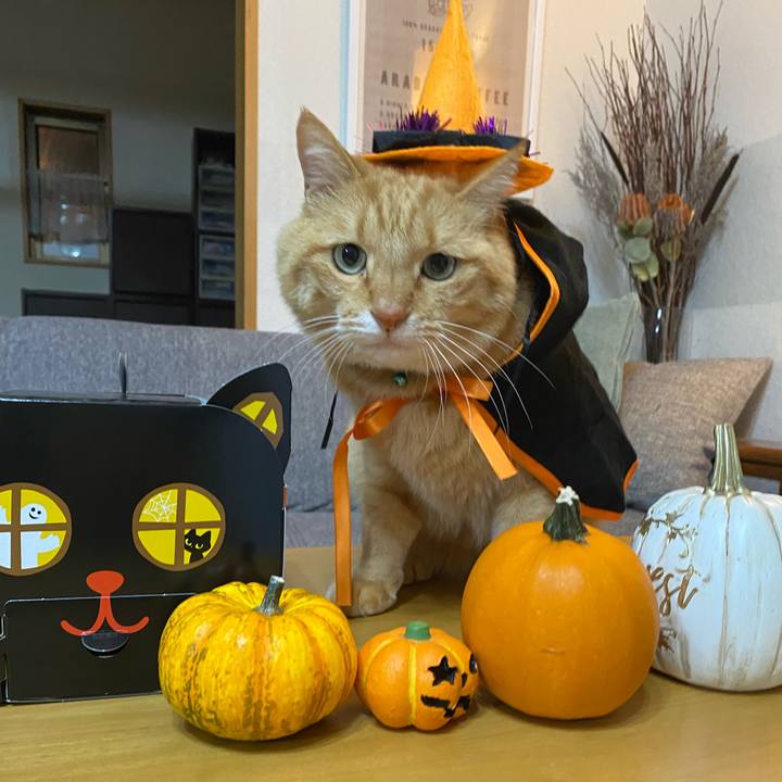 E012097d 9890 434c 98cd 3425dacd1a46 1634951244520