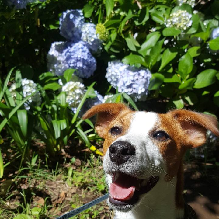 E0122f8f 66c5 4dc3 a50f 54c11c4af2b5 1560655768502