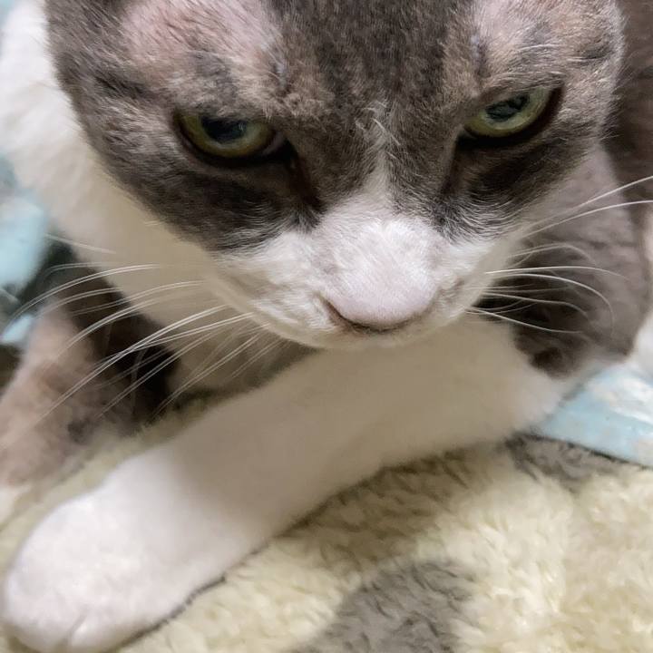 E012698b 2aad 4480 ba13 b1c7ea6be6ff 1768305876741