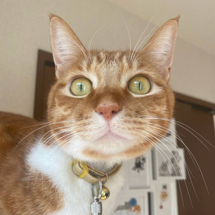 E0127bdb 5fc8 4ac2 830f 9ddef9eb4e09 1582335528105