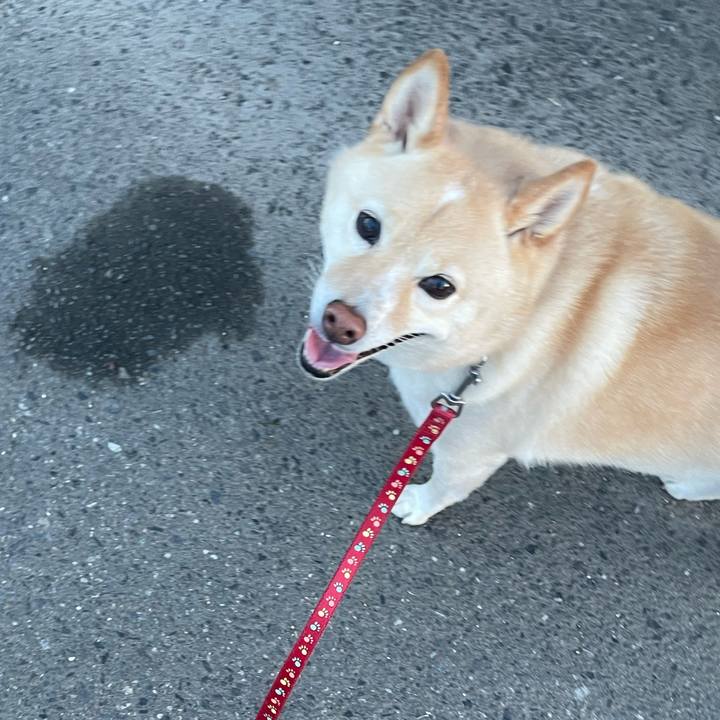 E012cc39 ec1c 4b3b bbf0 9ae35570c339 1728303294634