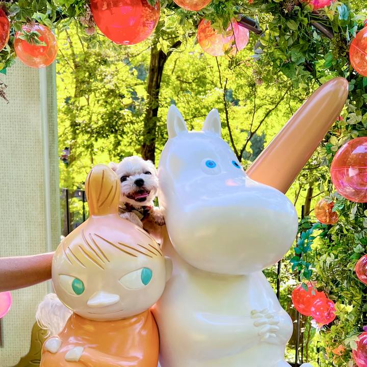 E012e8ac e533 45c7 a6d7 771725bdfc3a 1695309904253