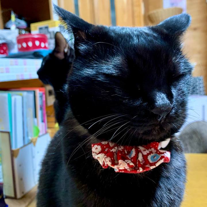 E01301c3 a6a7 4ff6 bf1c 88158b42402f 1618835153716