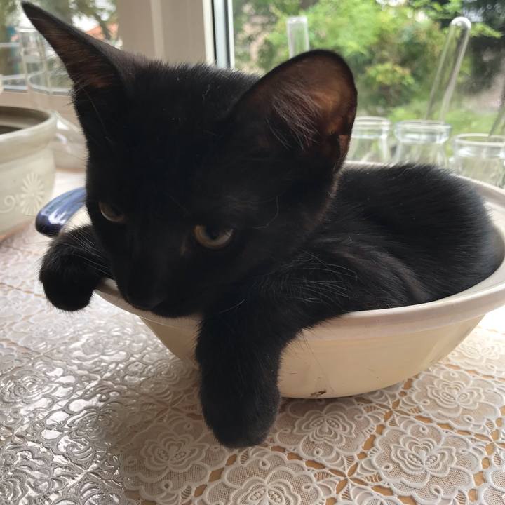 E01301de f92a 440f bcb3 eddc8e5bfbf0 1565275390700