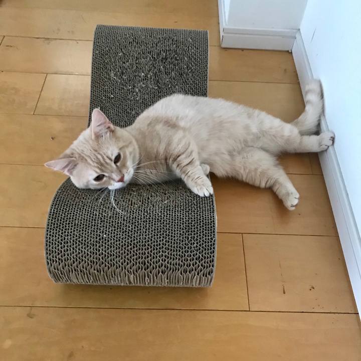 E013127e 5f13 4648 9009 9d8763a7f845 1527460452019