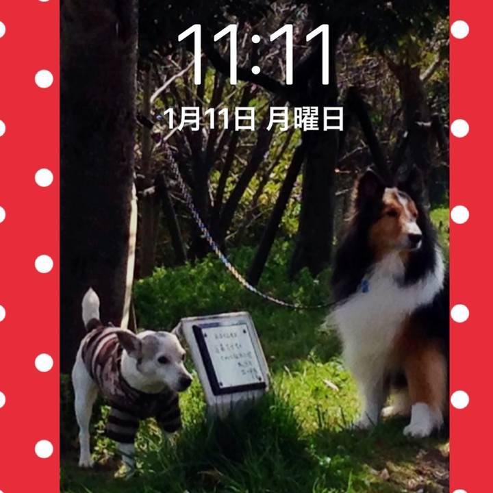 E0133bdc 83cc 4cac 8fae 4e936a1810c1 1610331387012
