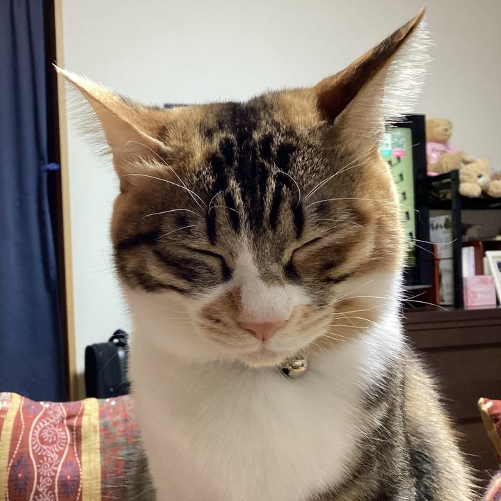 E013510f 8e6d 4269 9d70 b1d67fe42f0f 1675242649735