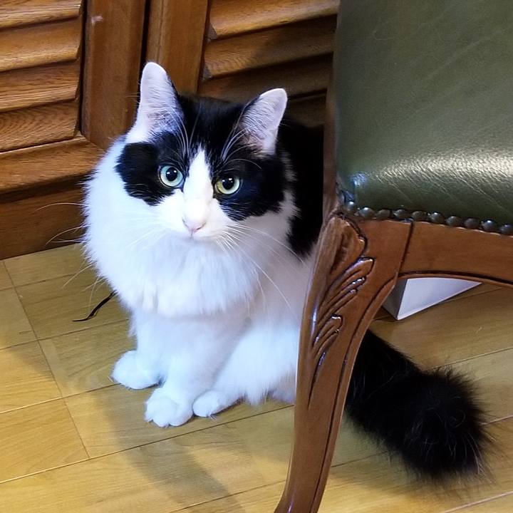 E013686f 917a 4f74 9ee2 18bbe0bbbe8b 1579441044014