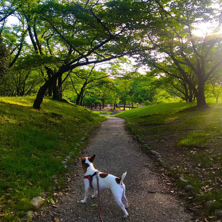 E013b21d dedb 496c 9bad d8ad404368a6 1526127489842