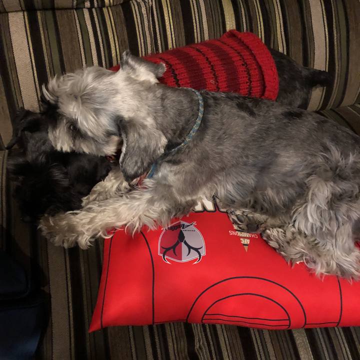 E013b3e6 7972 4af4 893d 5c65fb8fcf24 1550309660461