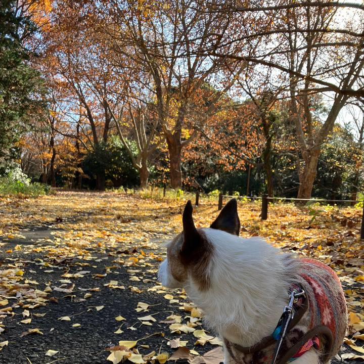 E013ba78 7068 41c0 b994 7321f64486e6 1702337224536