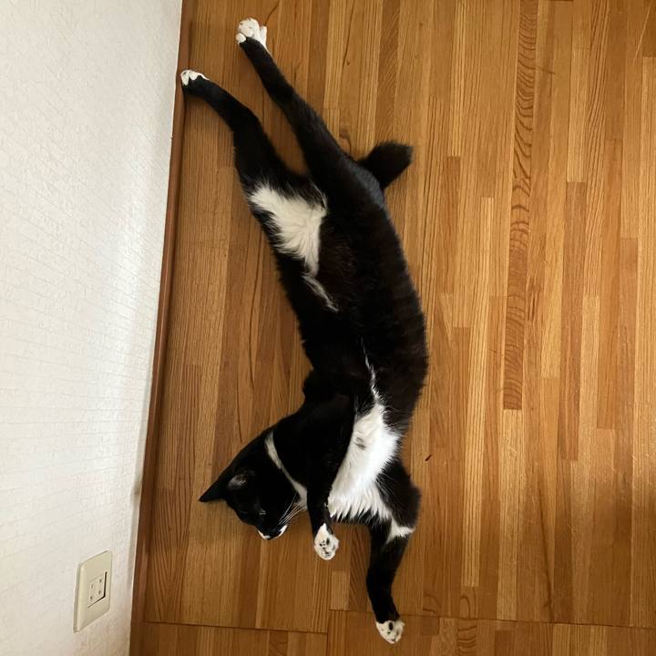 E013ce02 2216 4916 987e 7f27b1af22fc 1696302958152