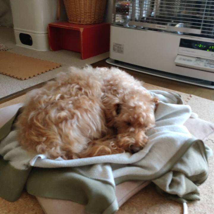 E014073a 4a1f 40cc a78a 790e21b23c2d 1579913279104