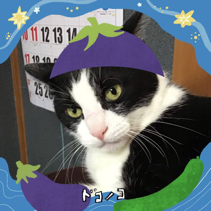 E0140744 53b6 4d3c a16d cdad5a418ebe 1755159199243