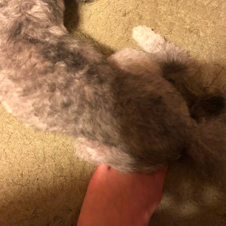 E0140bf9 eb15 426b a864 35b8d0ac50a6 1530621438595