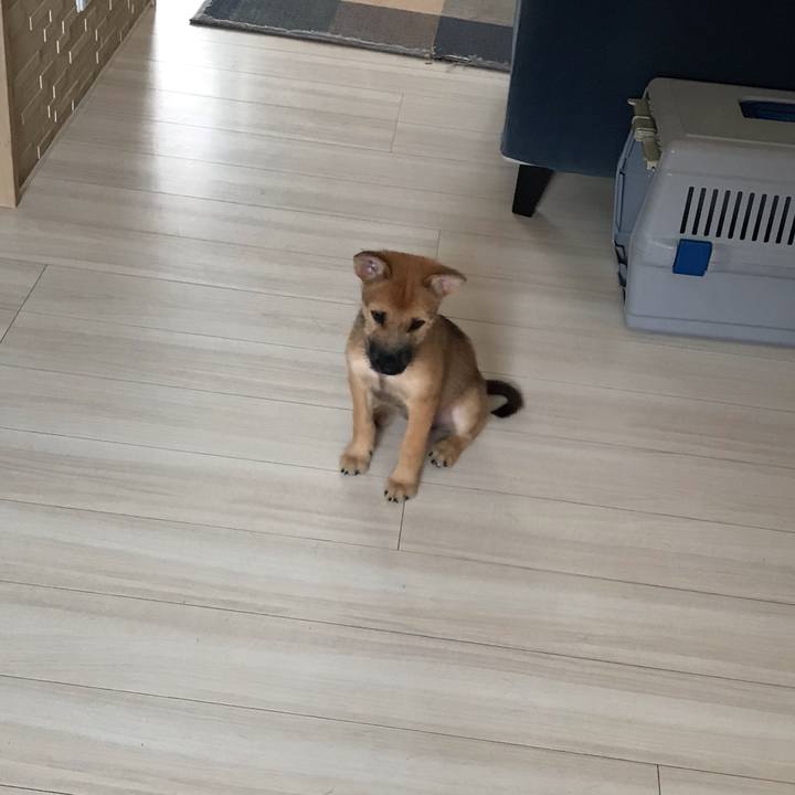 E01415be 30a7 4b71 8c05 ee2b59249217 1569815772145