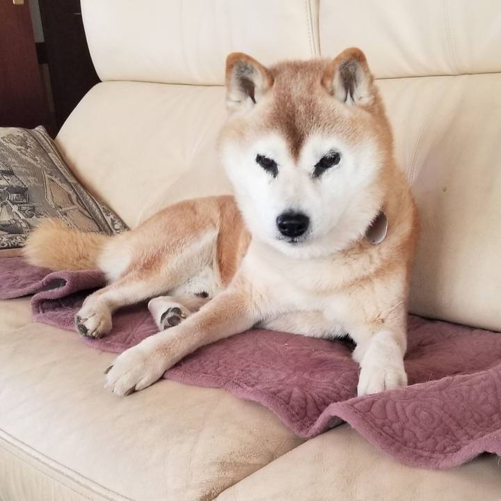 E0143224 76a7 4a2a af39 8cc7c96af82e 1741910382200