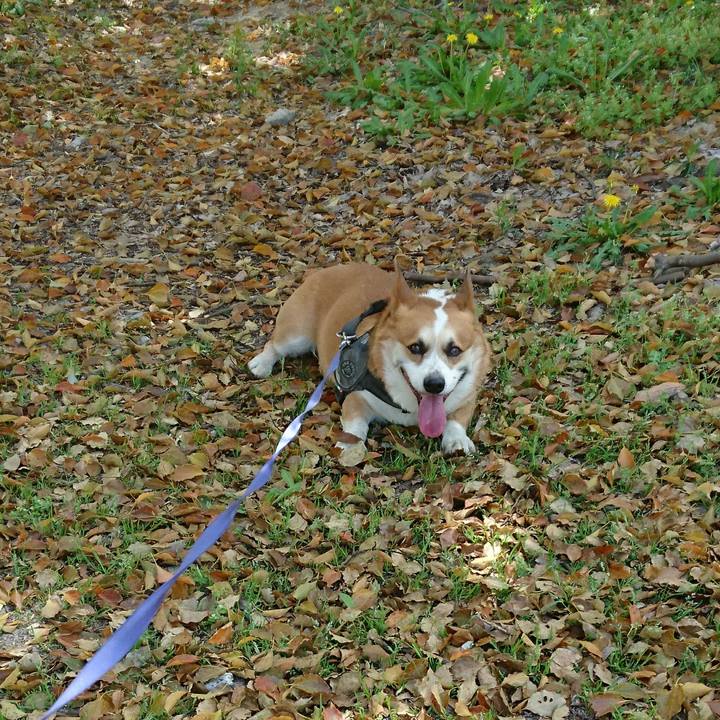 E0143f19 b610 4f76 bda2 a9c6f82375ee 1649645196245