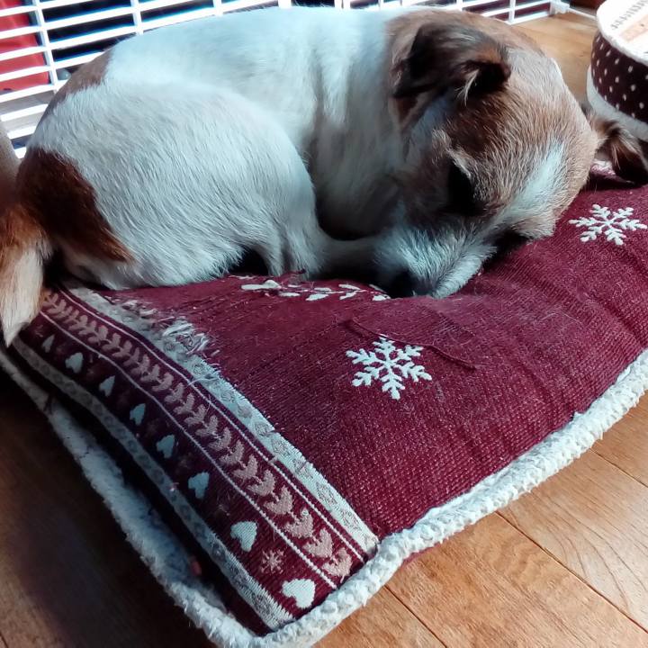 E0148b32 0f3d 4043 8da3 83c2f7029514 1513141326518