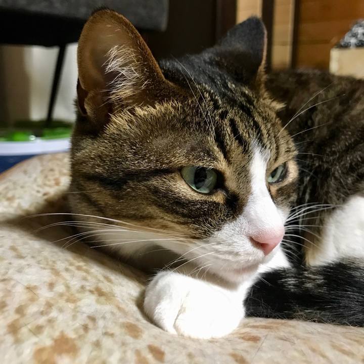 E0149a18 7f76 4995 a679 c18835108db9 1527942525460