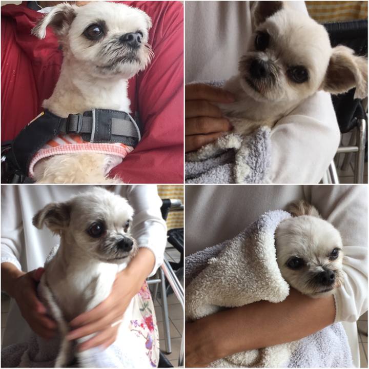 E014a942 5d2a 482d b0b5 8c0606af1694 1561185664792