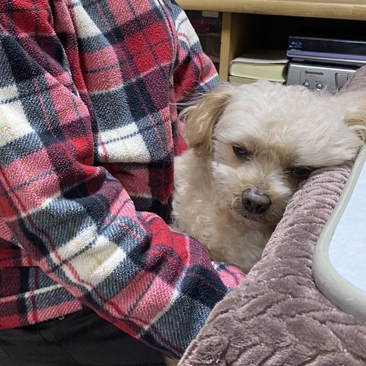 E014b4ff 632d 4a52 bc8f 2c037e115a2e 1672834221126