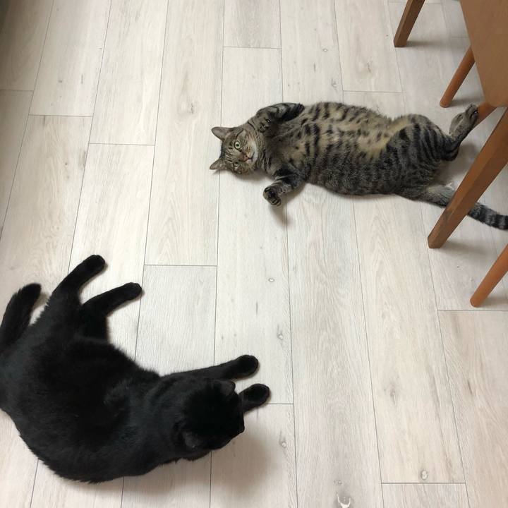 E0151f5f 57b5 4c82 9bfd b784624c24cb 1534687663899