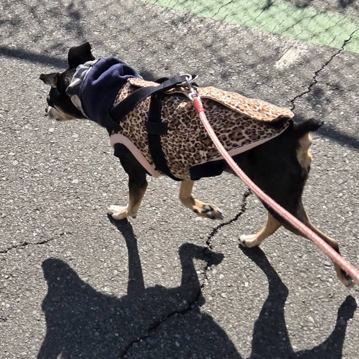 E01528f6 8ed6 4bd7 8c01 c64baee5390b 1774311703235