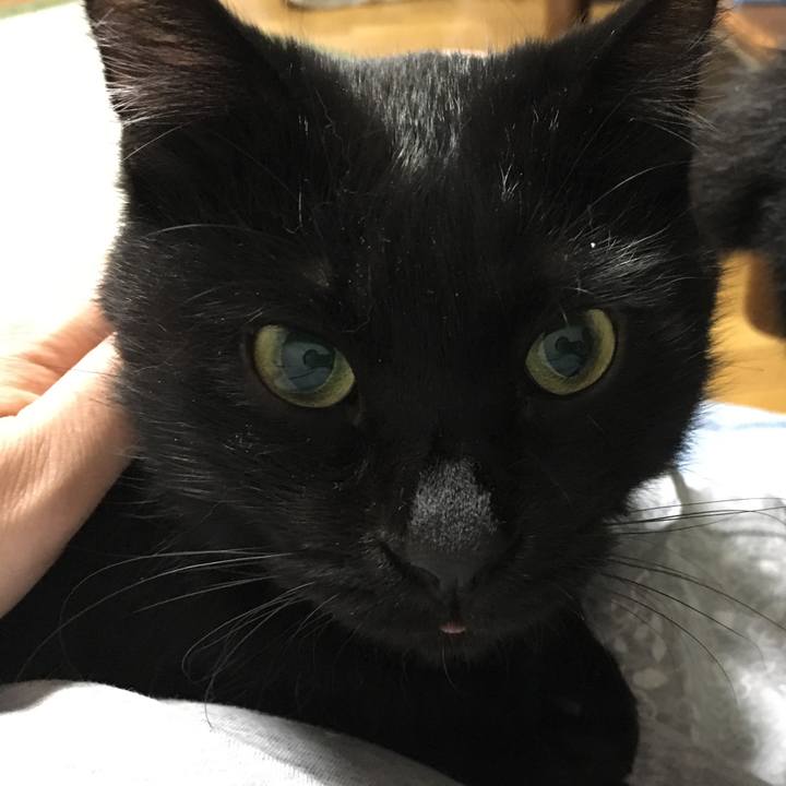 E0153124 cfae 45dc 929d 423d5498cdb8 1532242638646