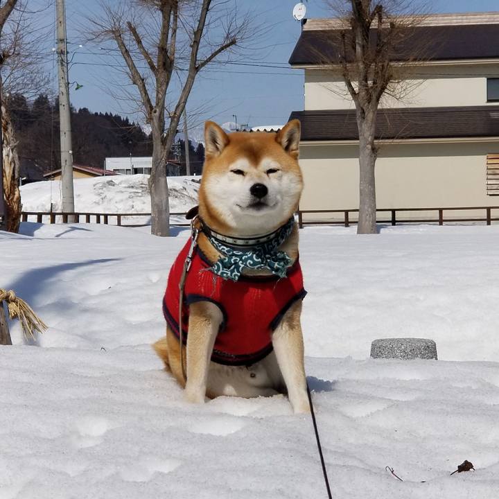 E0154169 cd5a 45c5 863d 9c1278dd96b6 1520135529103