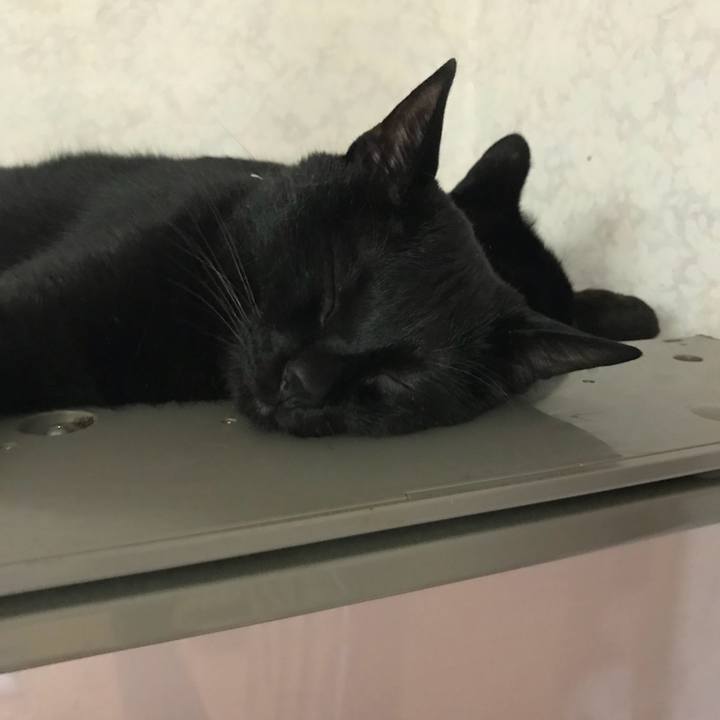 E0156274 cfb8 41ad ab05 a18b9a30d925 1526984074994