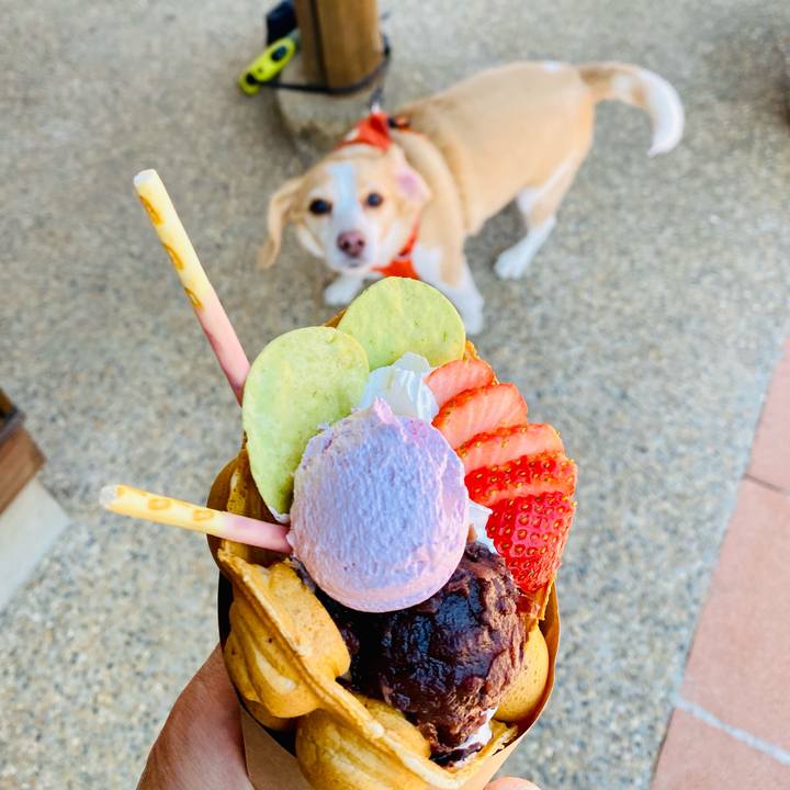 E0156bca c9a2 4f47 8e58 9e3fc42efdcb 1647233876219