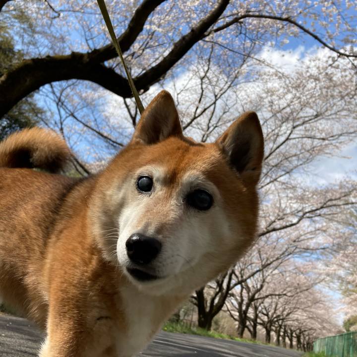 E0156ca4 5746 4974 b550 1958291f0613 1679467410195