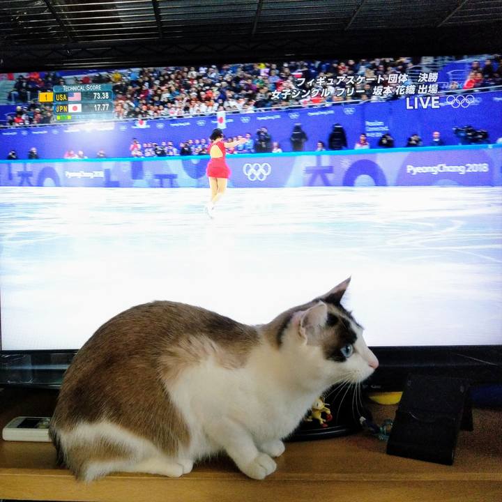 E015a0f8 d723 435a 92e6 07e2129c8462 1518449914137