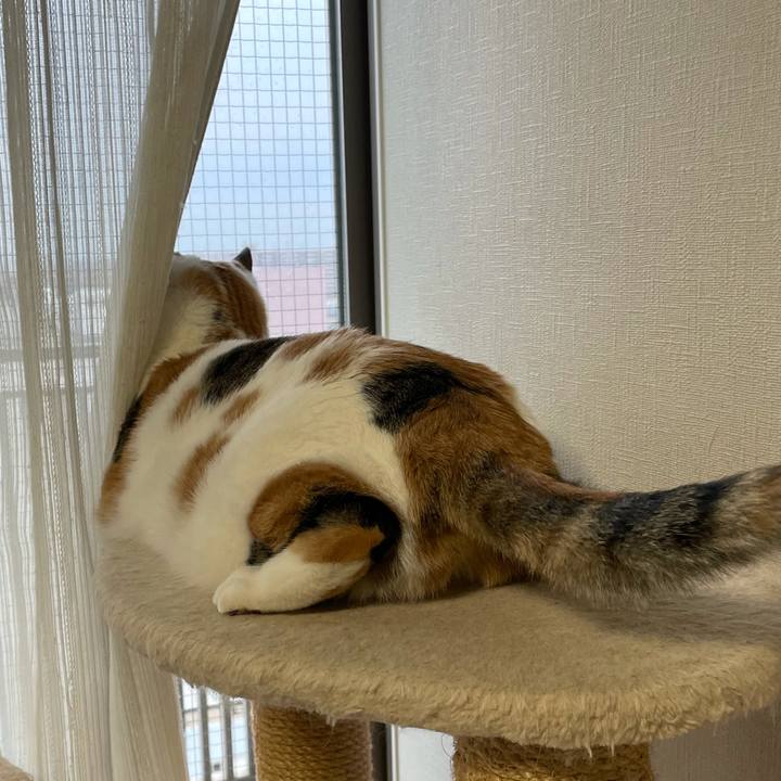 E015b145 9113 450d bb43 015dfe3a34a0 1609112322663