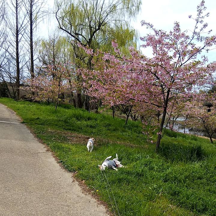 E015eb4f de5f 43ad b51e 9ed166e38808 1553323211865