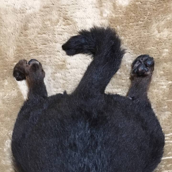 E0160144 f296 43a3 9fa8 73c51870a837 1523138121546