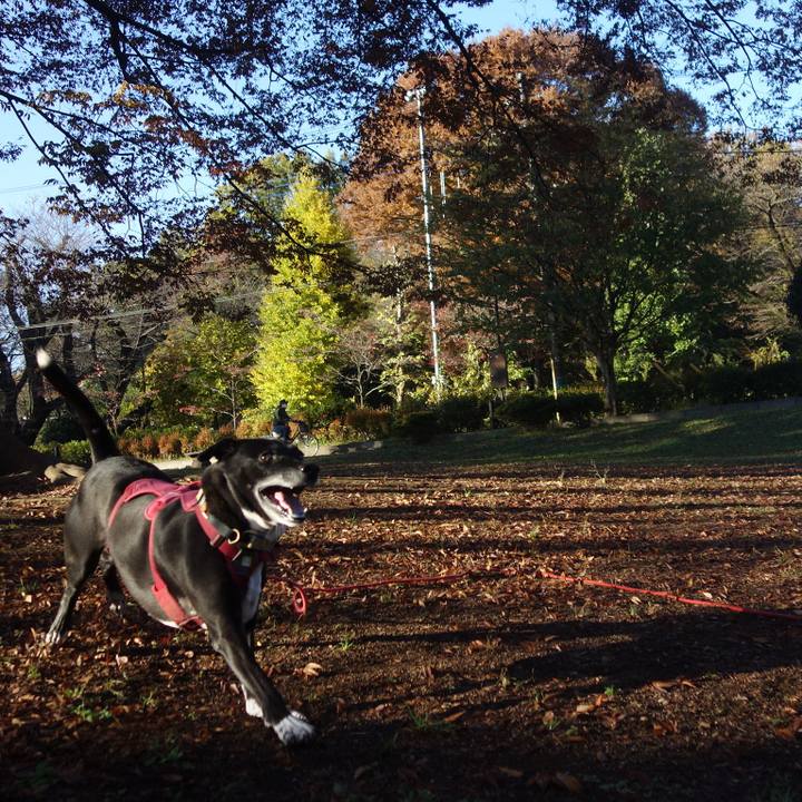 E016268c d007 4e23 9ee0 a95b4fb5d2ef 1700611675182