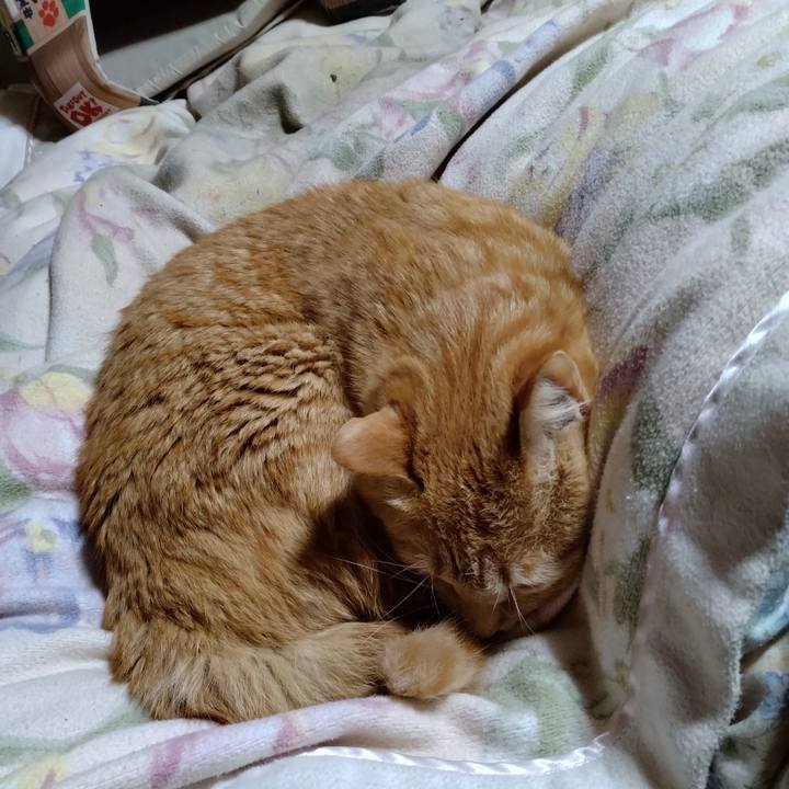 E016571f 04e8 4e04 a857 31320ac88171 1680964079009