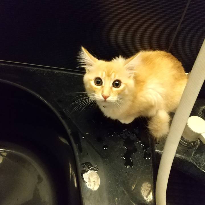 E0165886 fb57 40fb 8758 cbd387f7490a 1607349097953