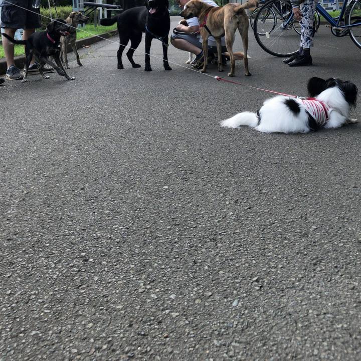 E0165ca4 1506 44b3 bf05 734897776958 1531619659575