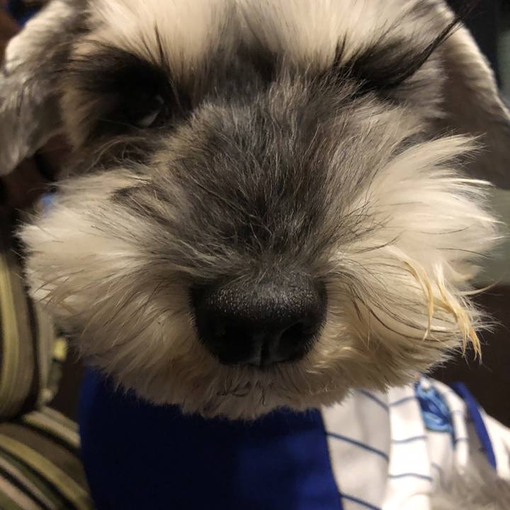 E0165f29 b45c 421d bbf7 601dad01f150 1523448971604