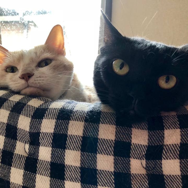 E0167939 69db 4b62 abca cbd5f6017f9b 1550806603859