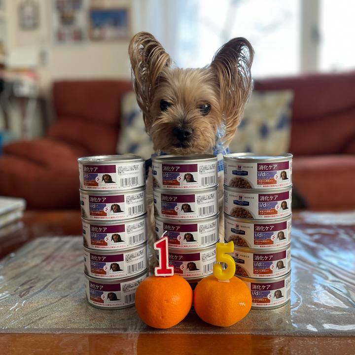 E0169e35 542c 409f 9aa9 73d324489587 1670750310788