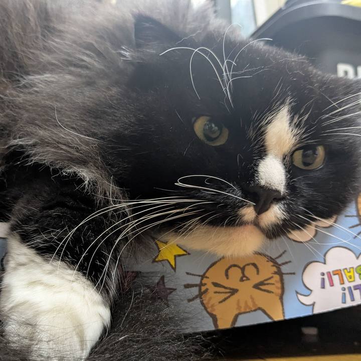 E016bd9a a0dd 4c47 b0d4 632c243490a0 1758193996534