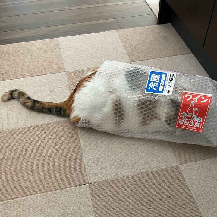 E016c11c 539b 4e12 bfb8 a8661b8131ad 1637379972791