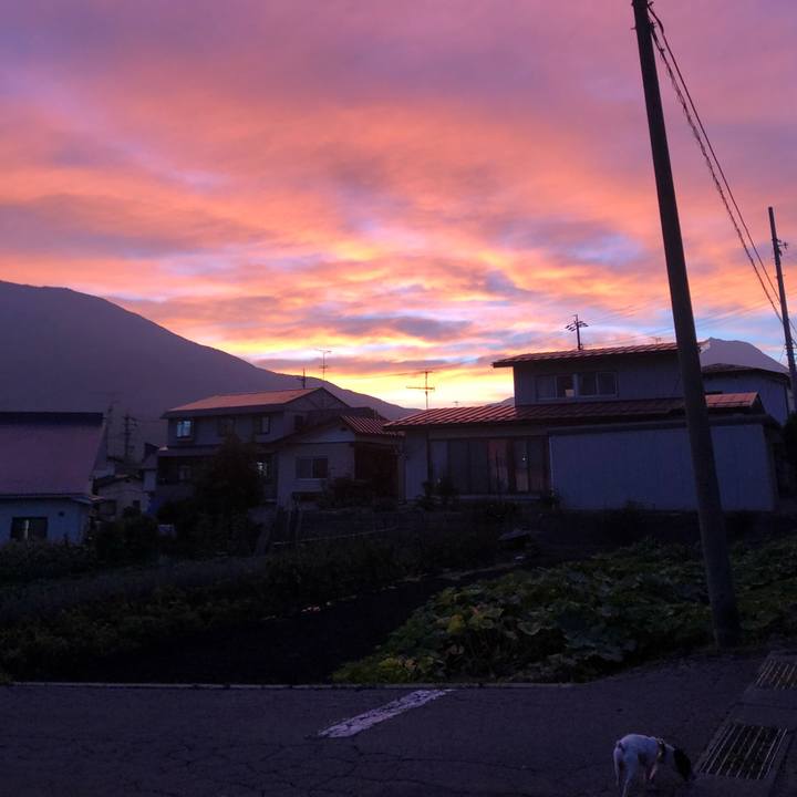 E016d036 c9aa 4694 92c2 31baa65a03f5 1532689018128