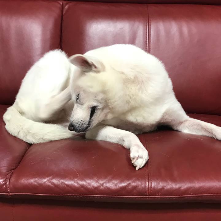 E016dda6 8e3b 44a7 aaa9 af82b6725e67 1525784991283