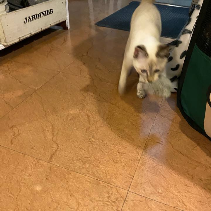 E016f175 84e6 4432 b6d7 0056051d5fc5 1636798086736